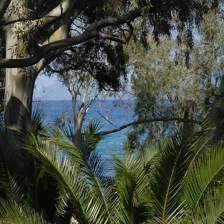 Villa Georgy